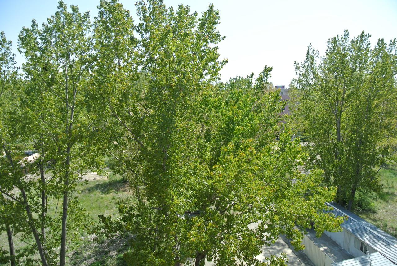 St. Sofia Apartments - Official Rental Солнечный берег Экстерьер фото